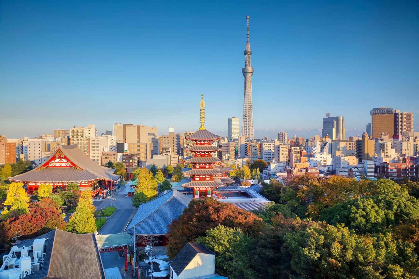 https://bestroyaltrips.com/wp-content/uploads/2018/09/destination-tokyo-04.jpg